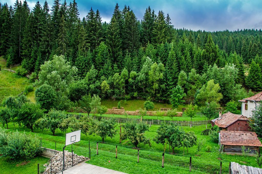 Pensiunea Casa Elvira Vama (Suceava) Exterior foto