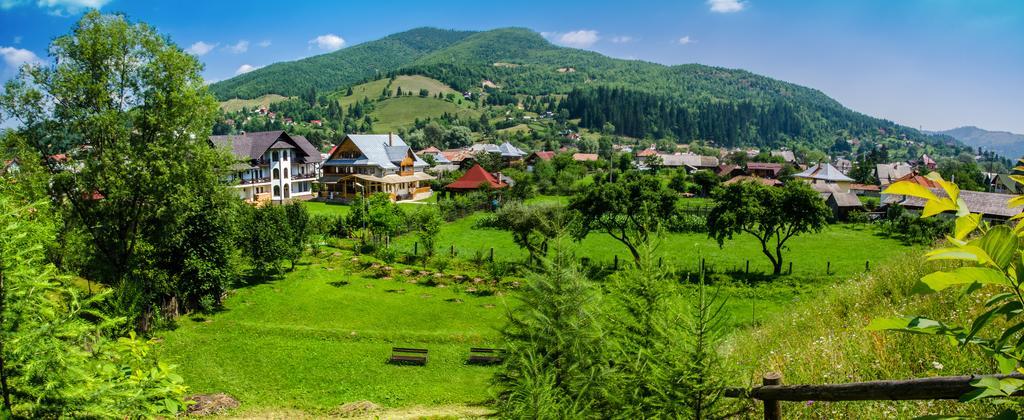 Pensiunea Casa Elvira Vama (Suceava) Exterior foto