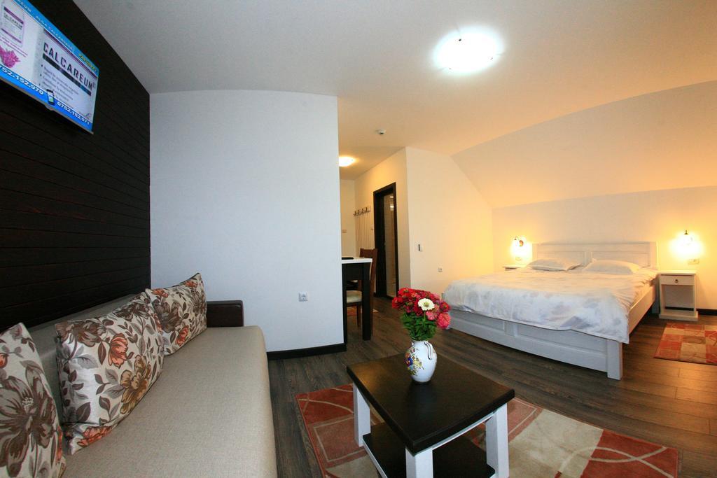 Pensiunea Casa Elvira Vama (Suceava) Exterior foto