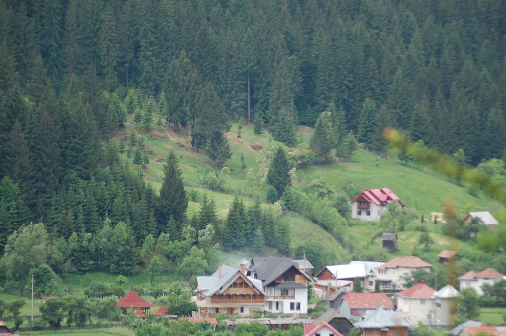 Pensiunea Casa Elvira Vama (Suceava) Exterior foto