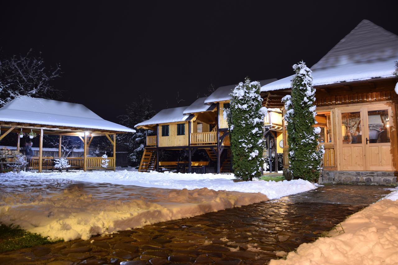 Pensiunea Casa Elvira Vama (Suceava) Exterior foto